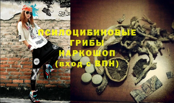 эйфоретик Богданович